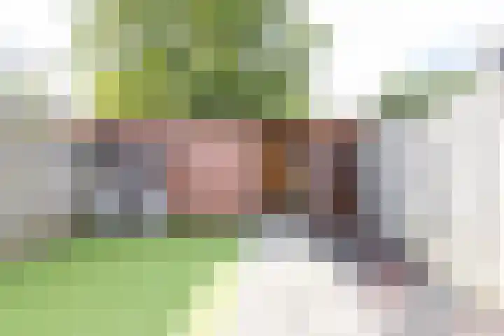 Lijster 38 Sprang-Capelle thumbnail 4