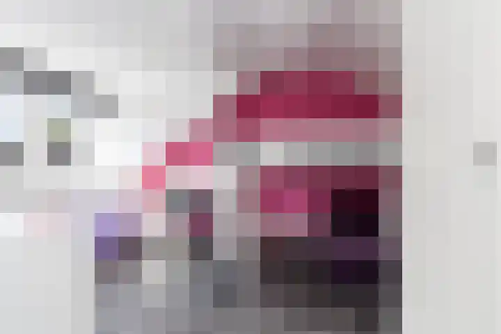 Lijster 38 Sprang-Capelle thumbnail 40