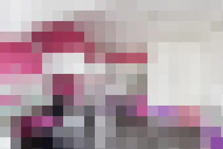 Lijster 38 Sprang-Capelle thumbnail 42