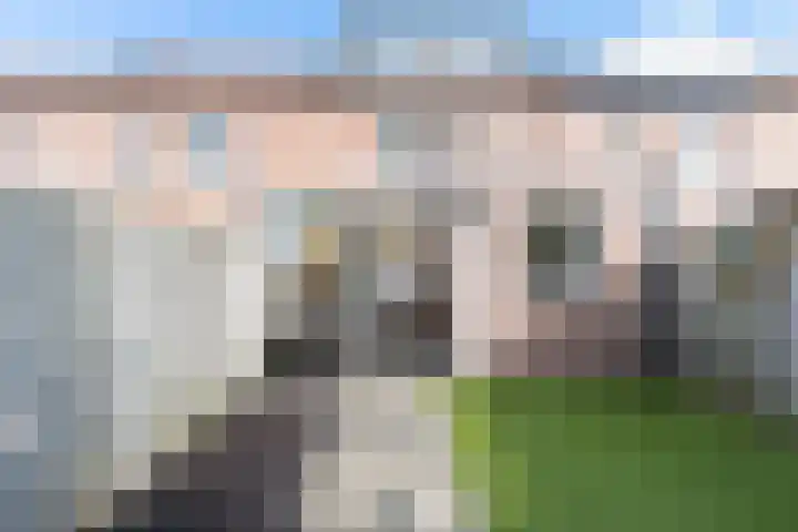 Lijster 38 Sprang-Capelle thumbnail 43