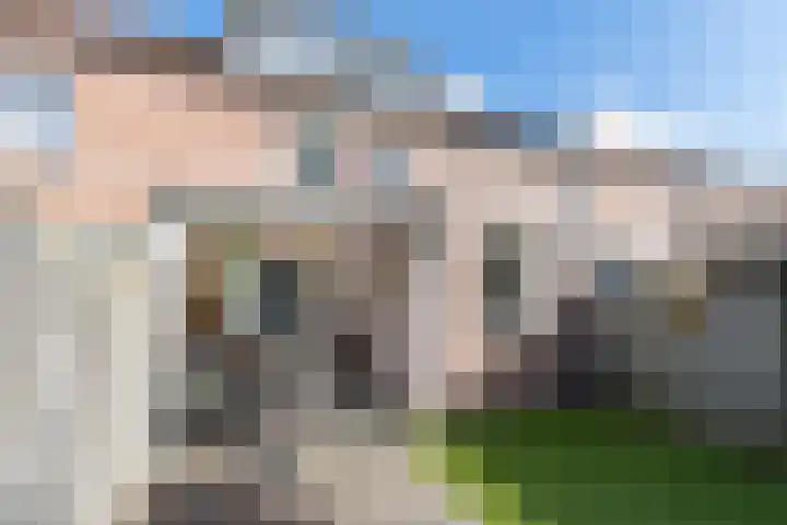 Lijster 38 Sprang-Capelle thumbnail 44