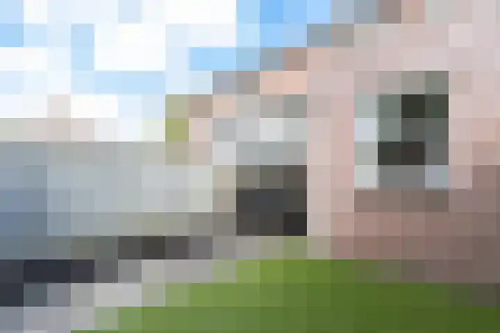 Lijster 38 Sprang-Capelle thumbnail 45