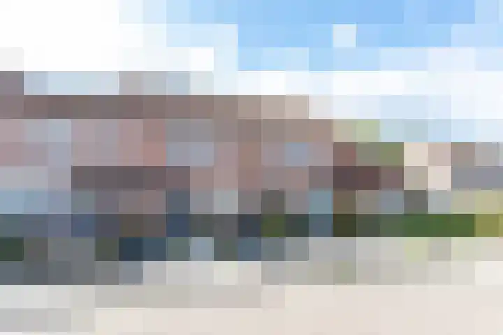 Lijster 38 Sprang-Capelle thumbnail 51