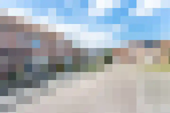 Lijster 38 Sprang-Capelle thumbnail 52