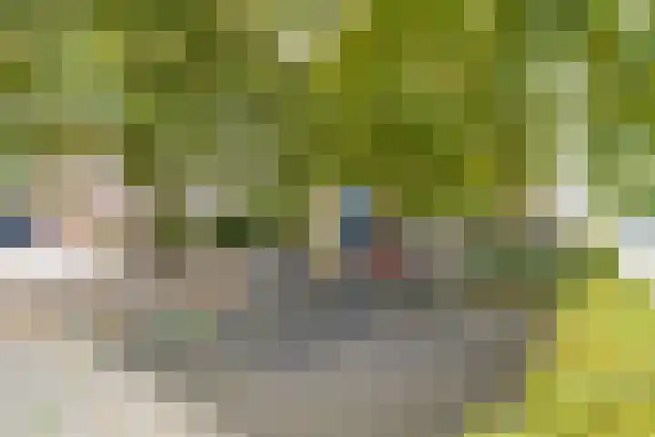 Lijster 38 Sprang-Capelle thumbnail 56