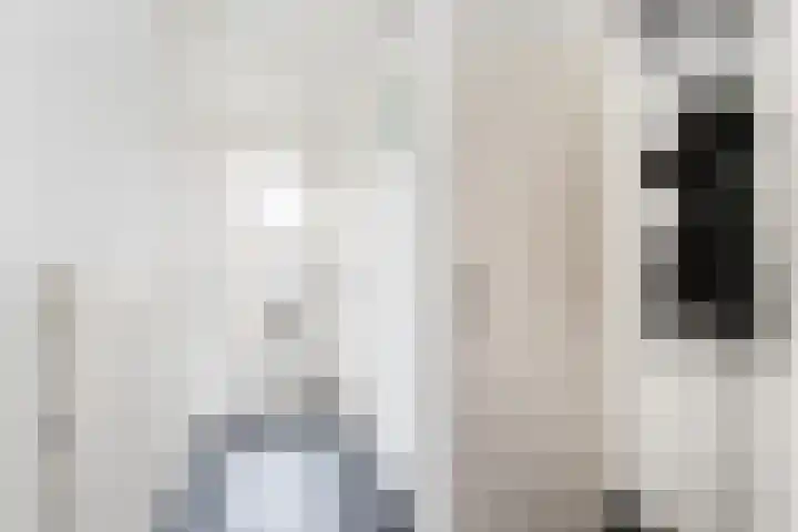 Lijster 38 Sprang-Capelle thumbnail 6
