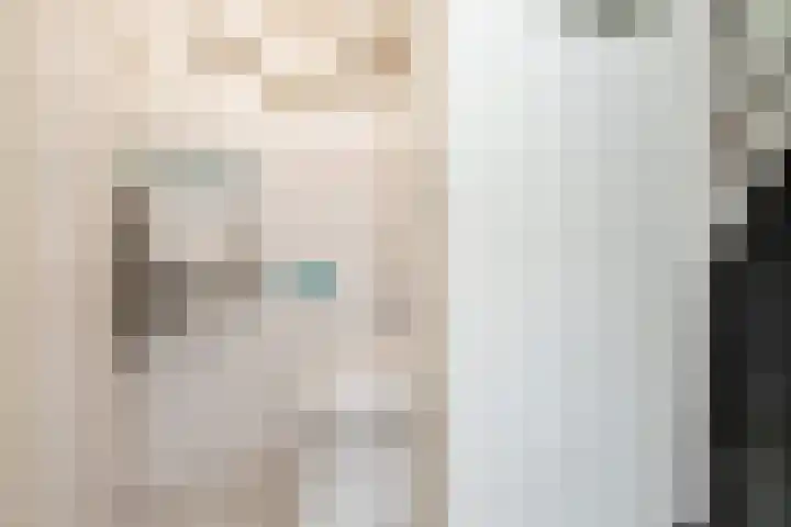 Lijster 38 Sprang-Capelle thumbnail 8
