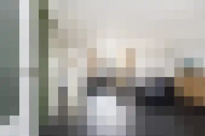 Lijster 38 Sprang-Capelle thumbnail 9