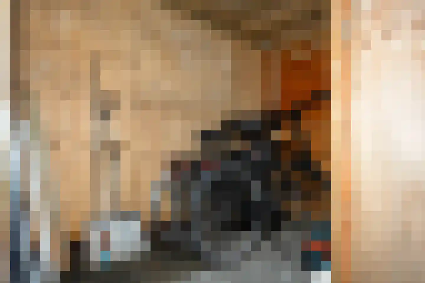 Lijster 39 Spanbroek thumbnail 35