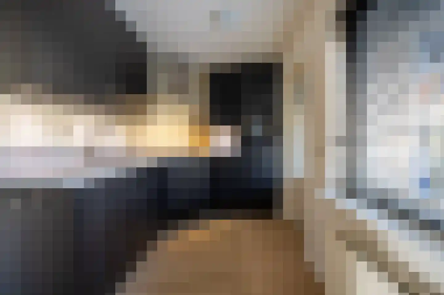 Lijster 39 Spanbroek thumbnail 8