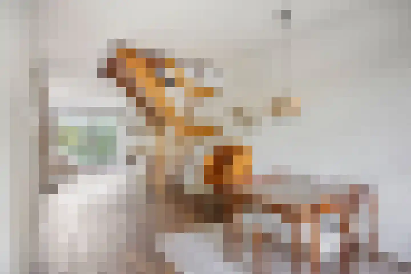 Lijster 40 Ridderkerk thumbnail 14