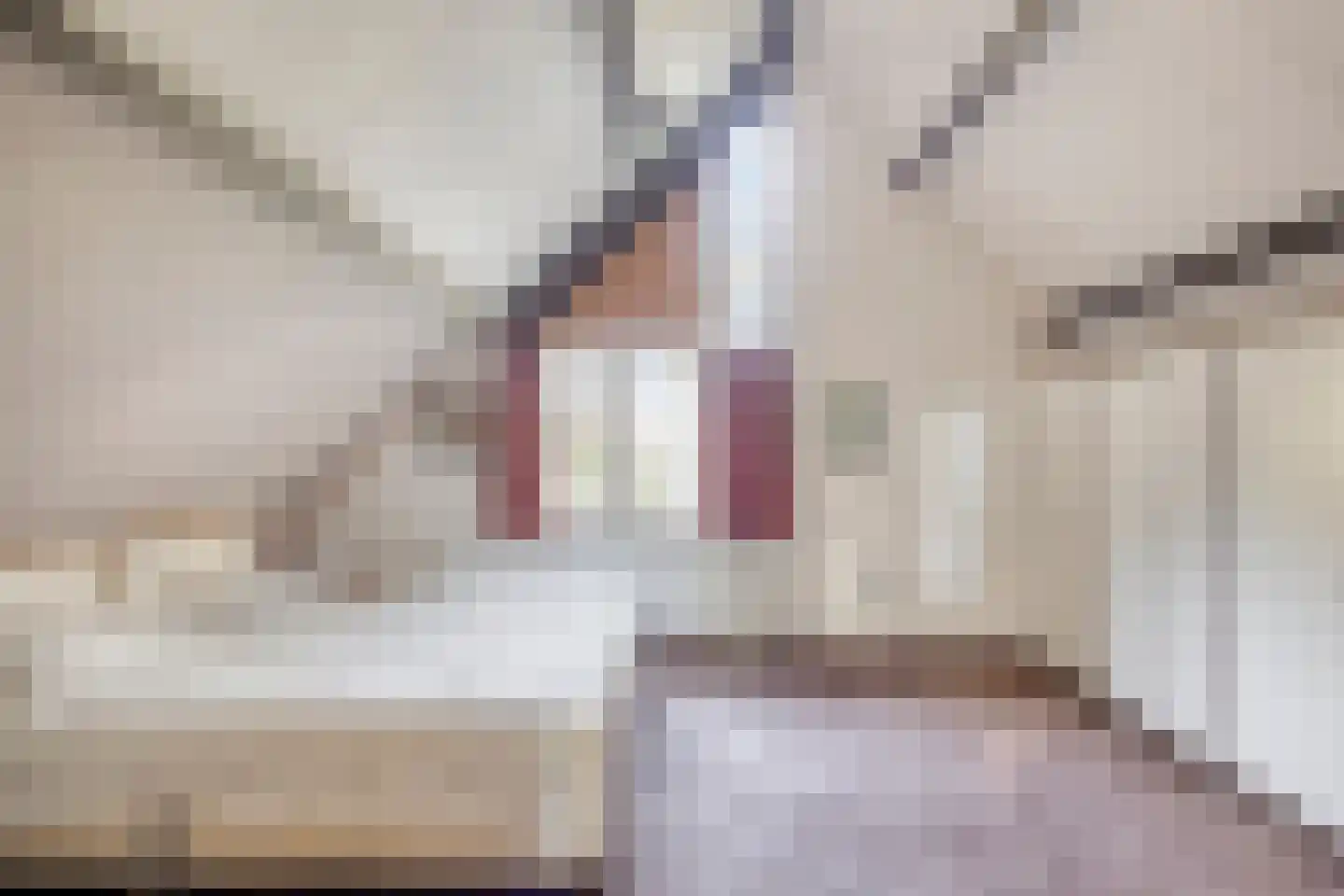 Lijster 40 Ridderkerk thumbnail 18