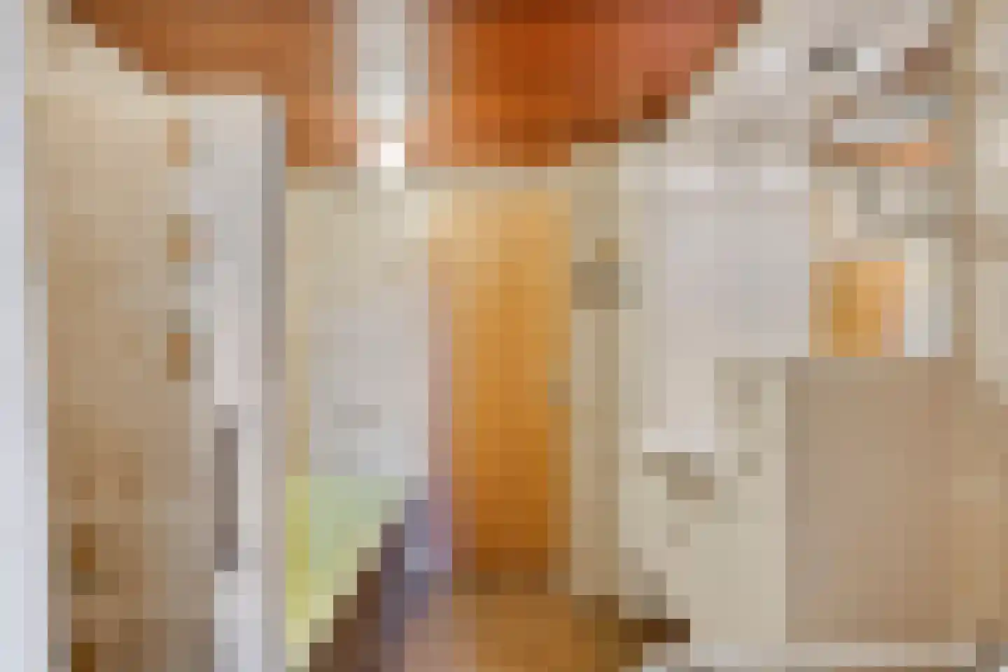 Lijster 40 Ridderkerk thumbnail 21