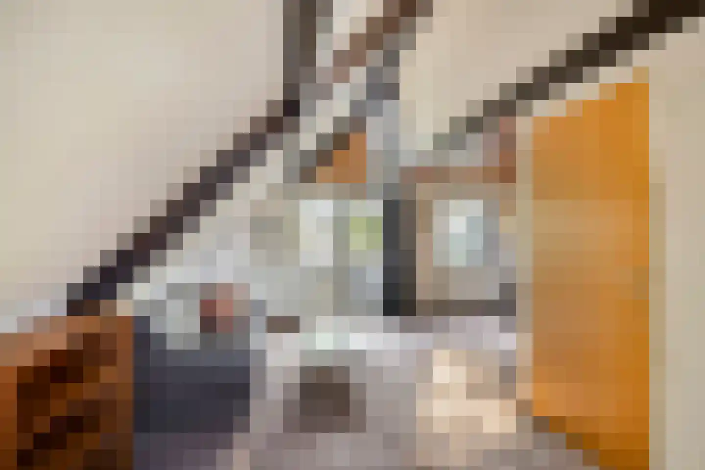 Lijster 40 Ridderkerk thumbnail 25