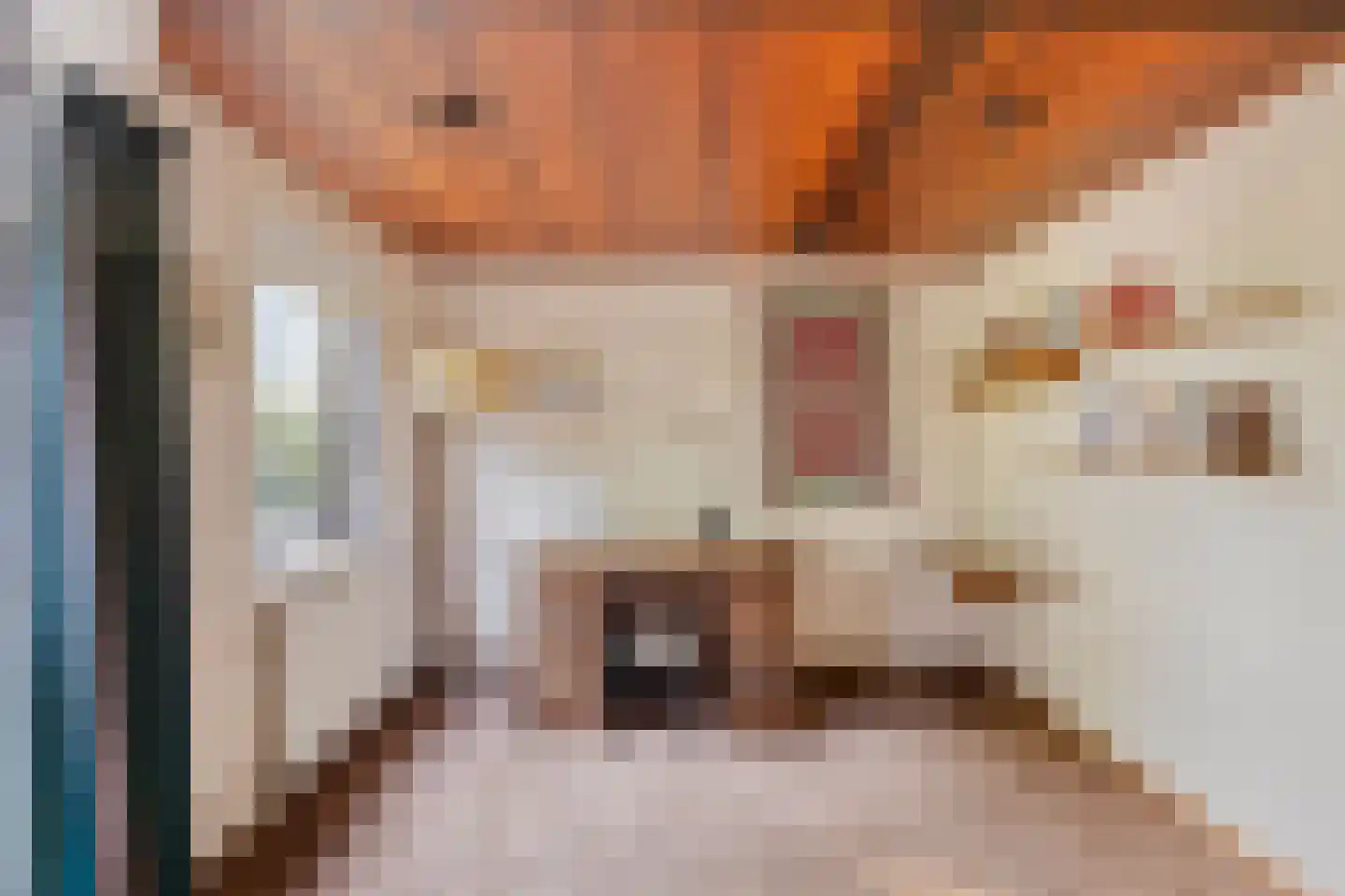 Lijster 40 Ridderkerk thumbnail 26