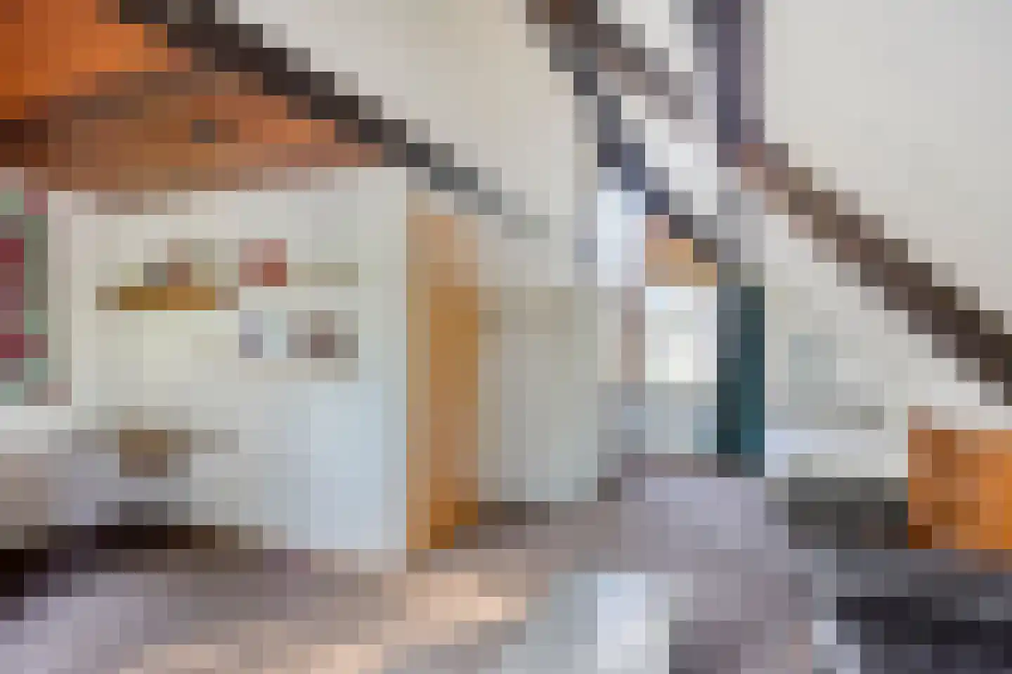 Lijster 40 Ridderkerk thumbnail 28