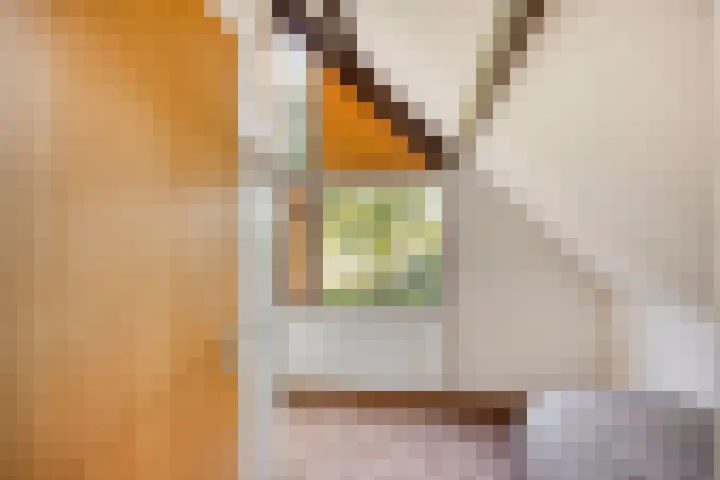 Lijster 40 Ridderkerk thumbnail 30