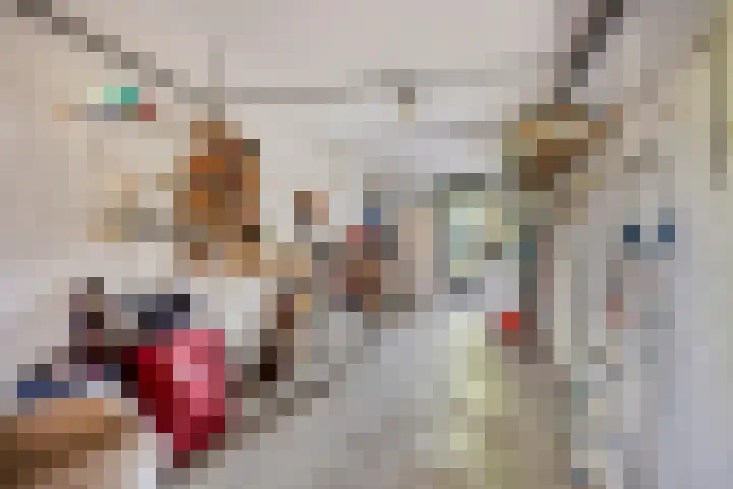 Lijster 40 Ridderkerk thumbnail 32