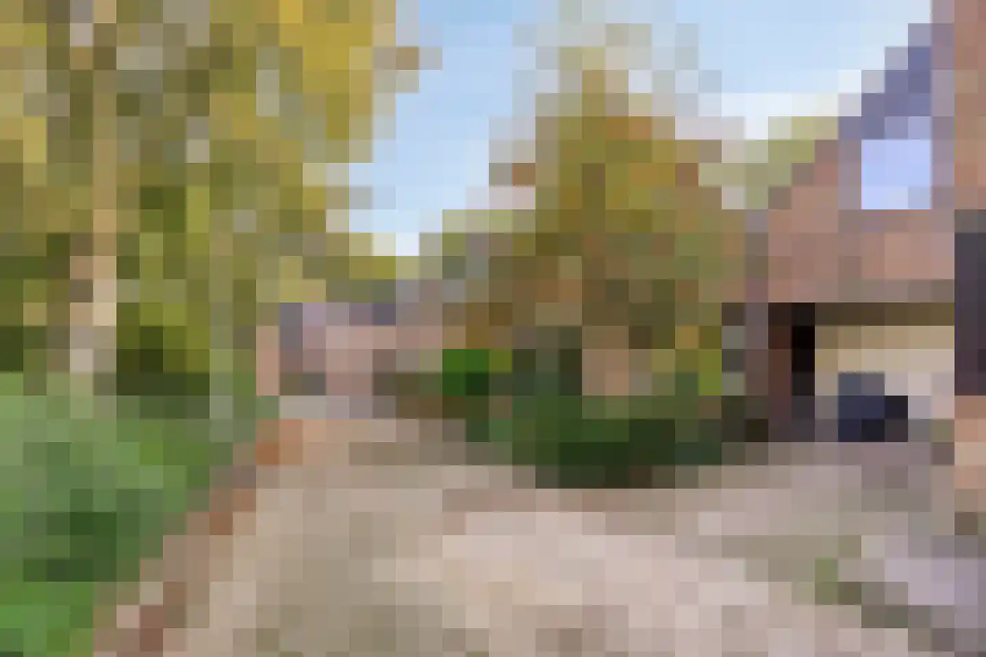Lijster 40 Ridderkerk thumbnail 36