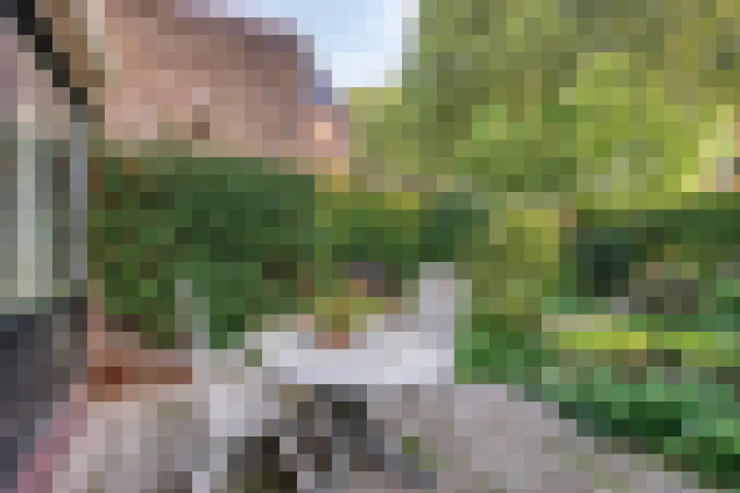 Lijster 40 Ridderkerk thumbnail 38