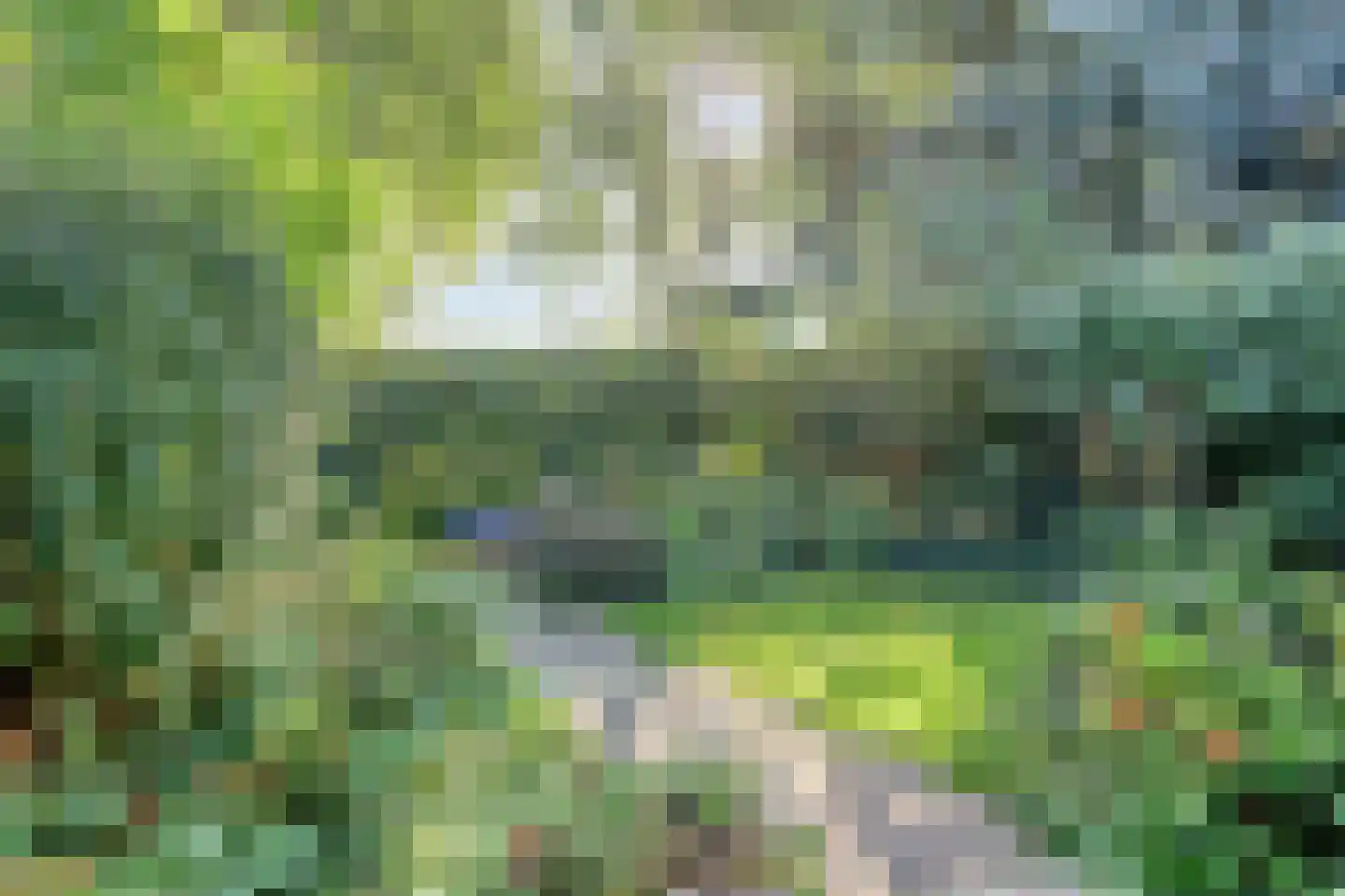 Lijster 40 Ridderkerk thumbnail 39