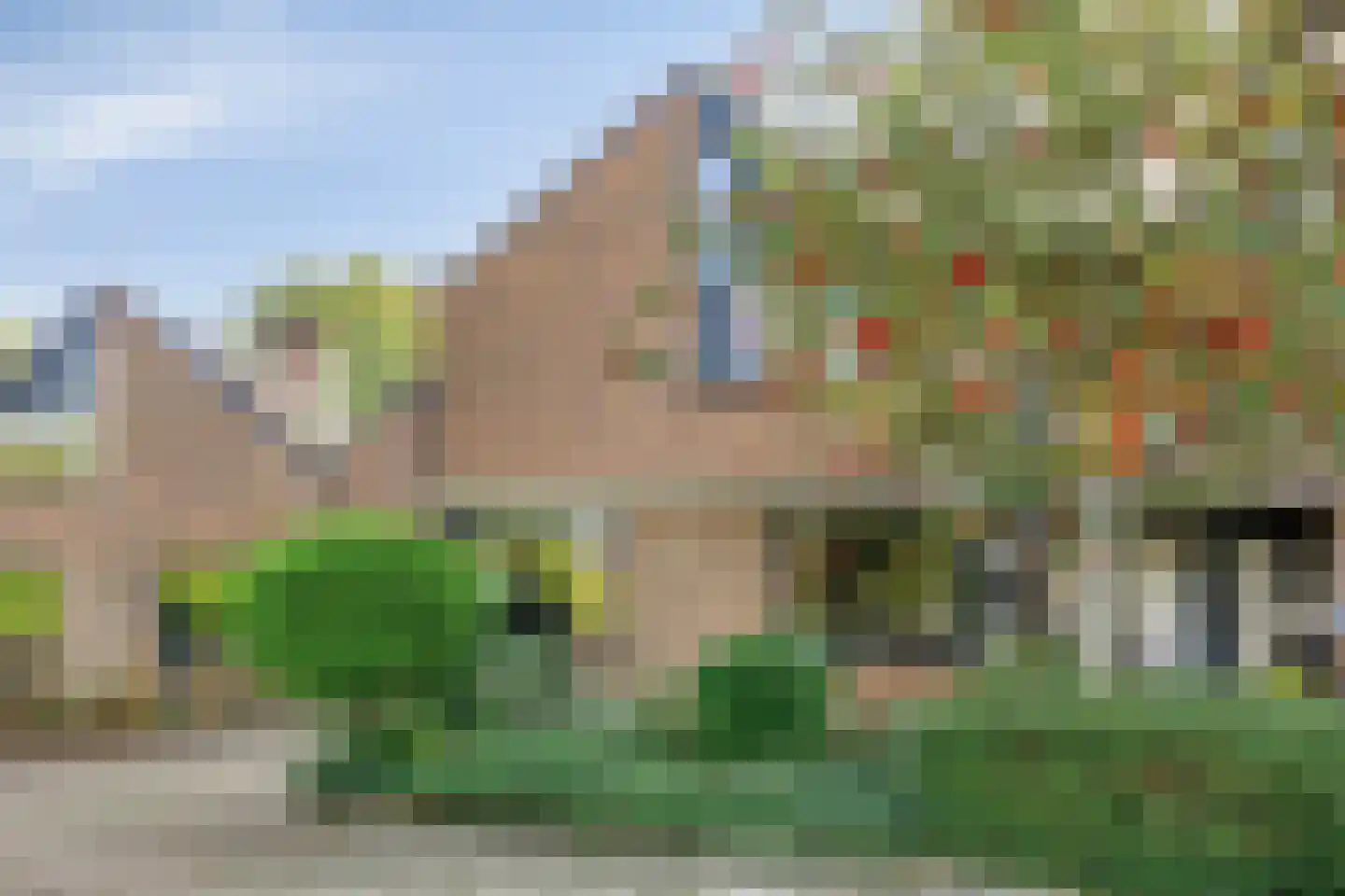Lijster 40 Ridderkerk thumbnail 4
