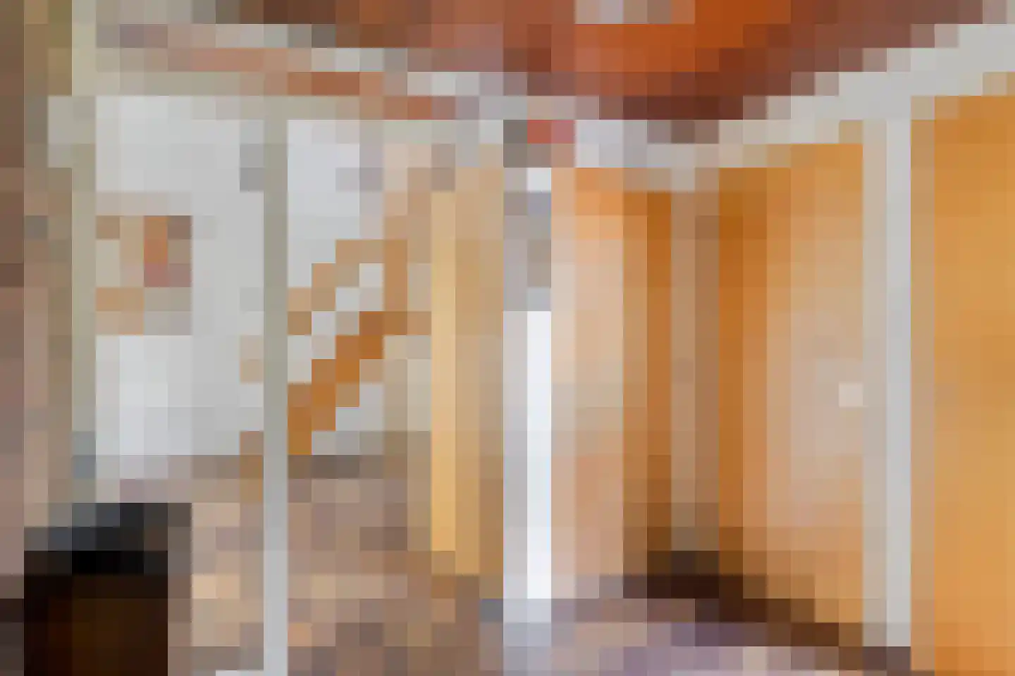 Lijster 40 Ridderkerk thumbnail 6