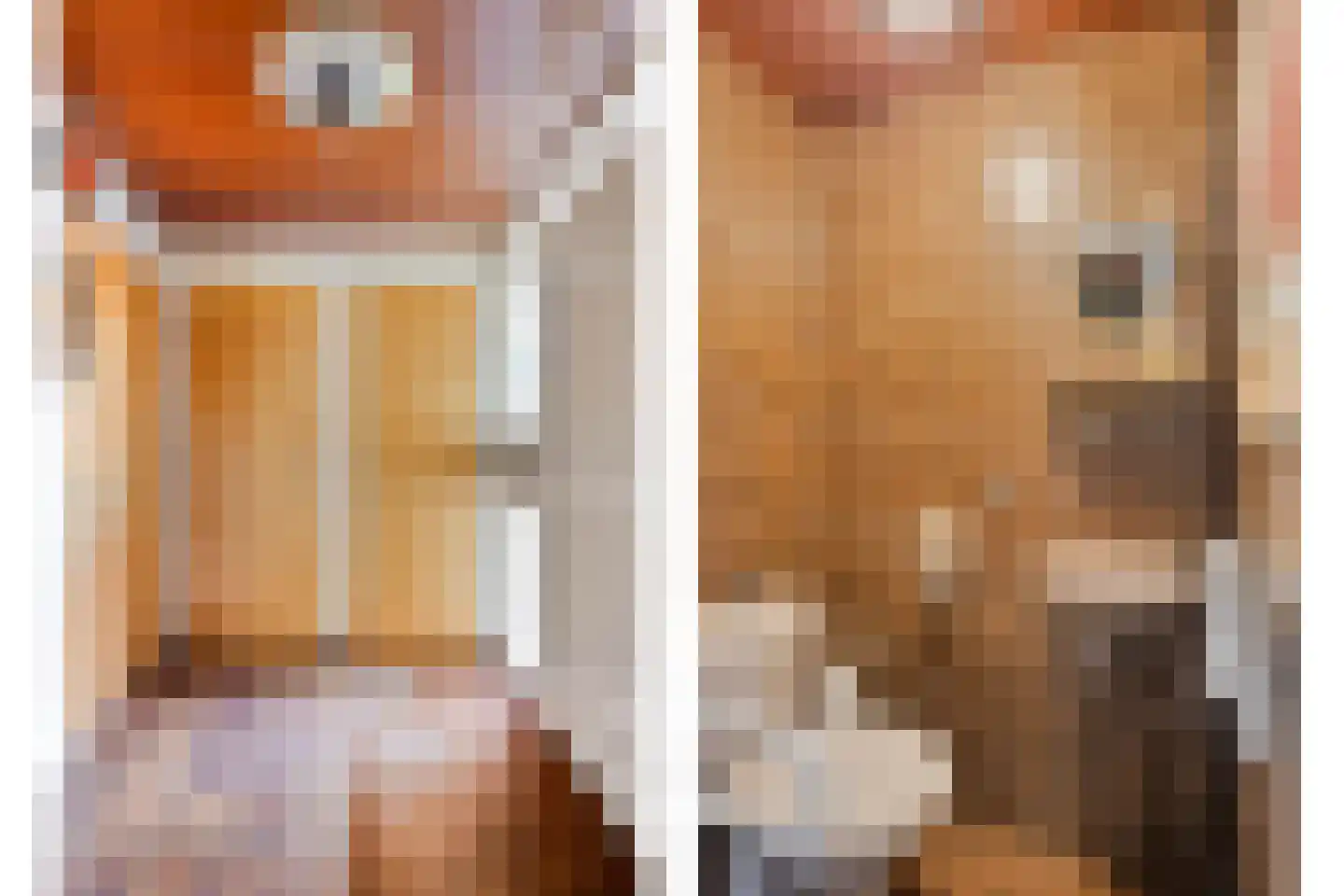 Lijster 40 Ridderkerk thumbnail 7