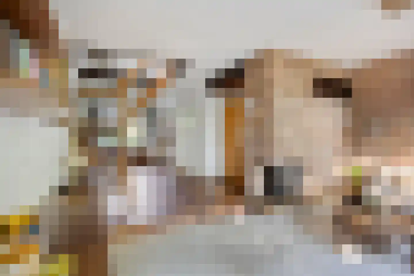 Lijster 40 Ridderkerk thumbnail 8
