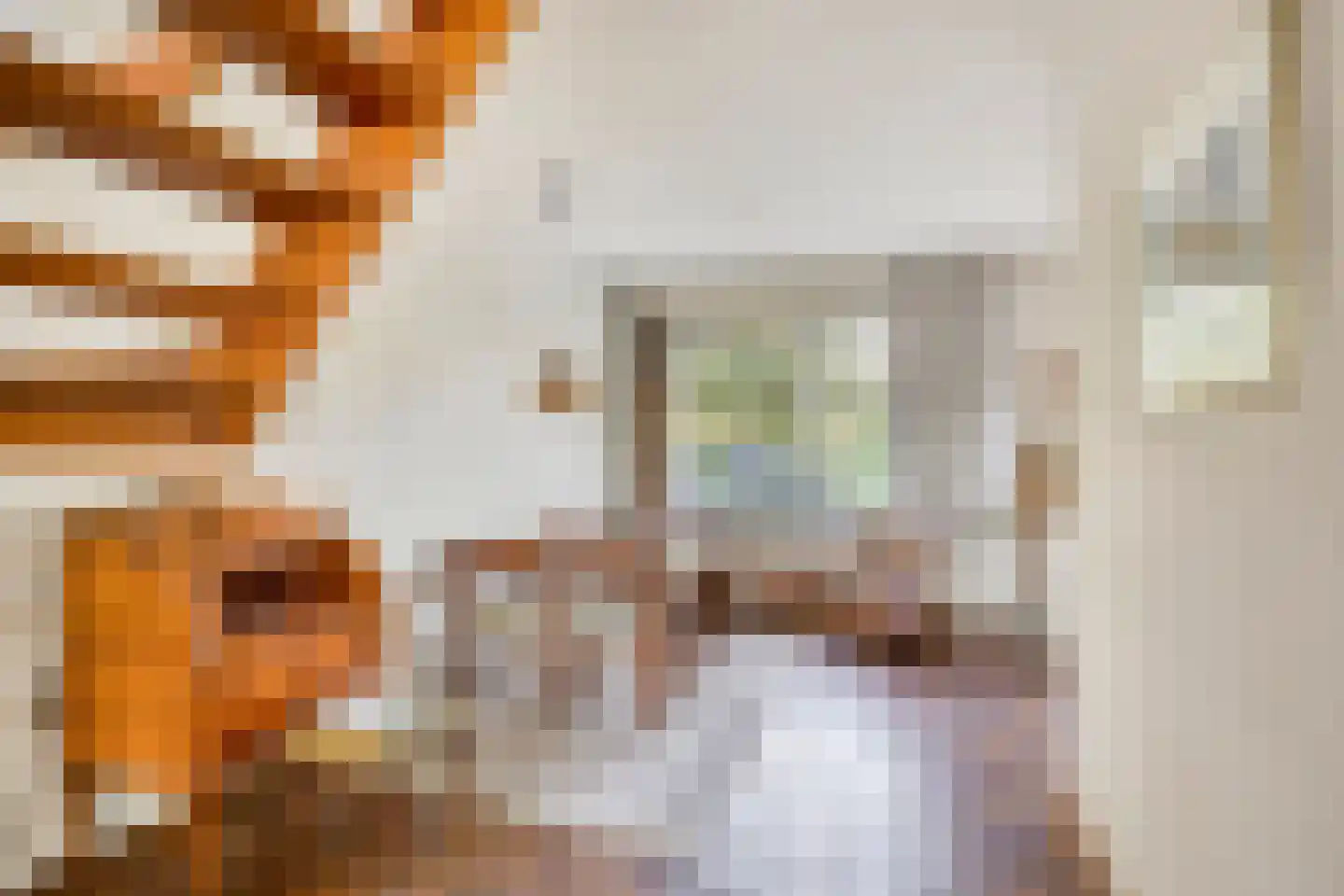 Lijster 40 Ridderkerk thumbnail 9