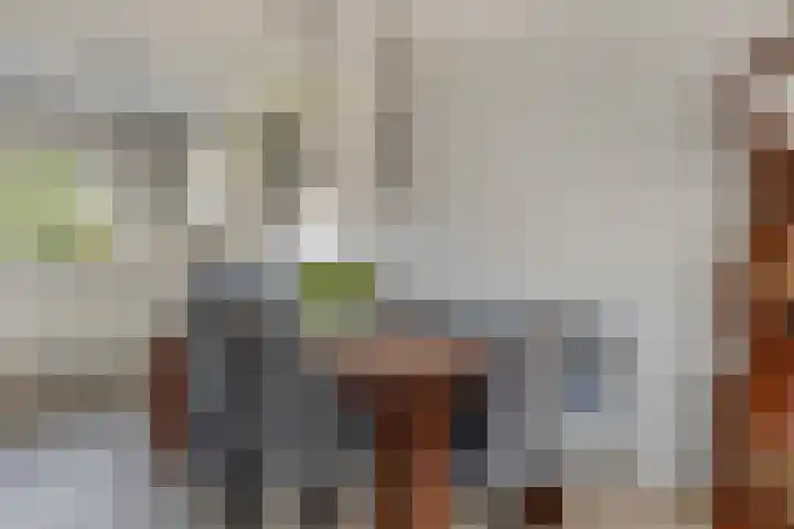 Lijster 41 Raalte thumbnail 10