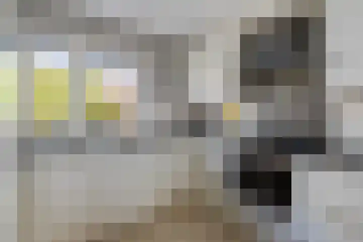 Lijster 41 Raalte thumbnail 11