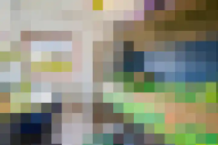 Lijster 41 Raalte thumbnail 15