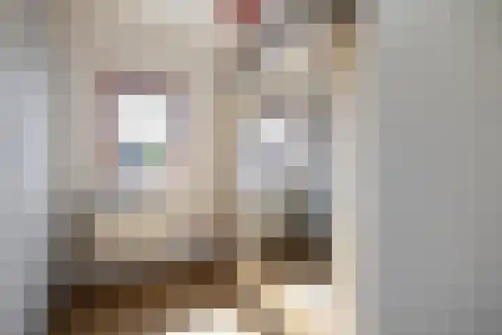 Lijster 41 Raalte thumbnail 16