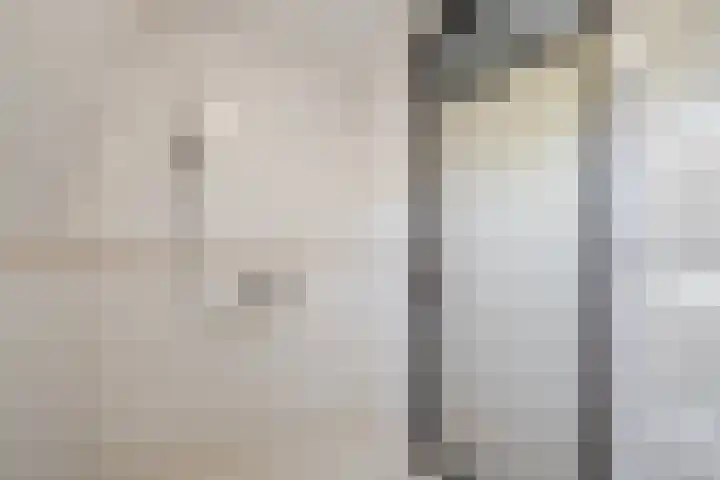 Lijster 41 Raalte thumbnail 18
