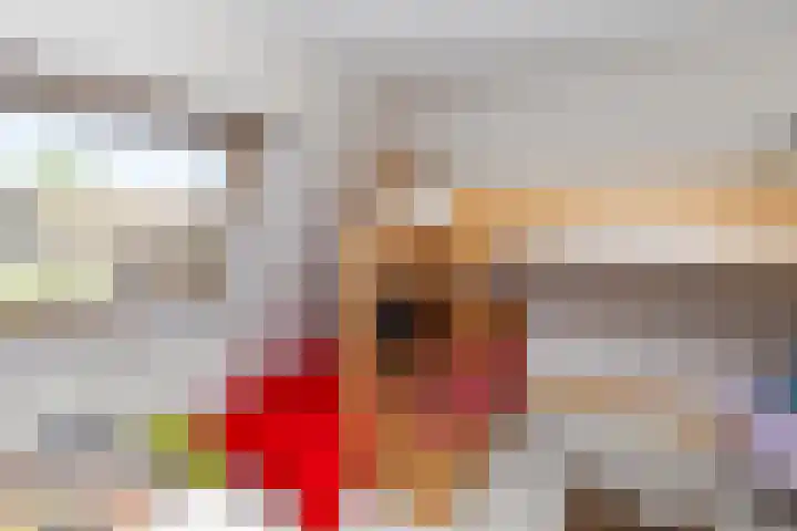 Lijster 41 Raalte thumbnail 20