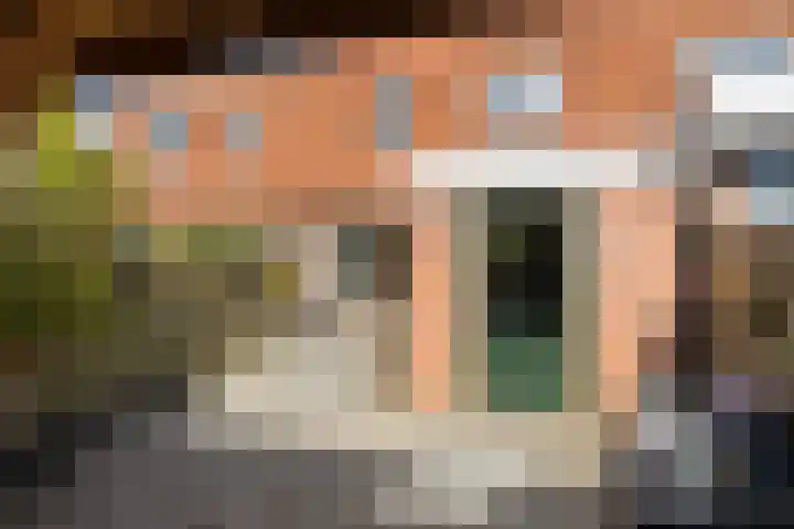 Lijster 41 Raalte thumbnail 21