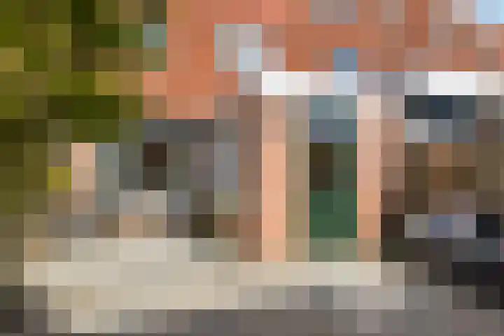 Lijster 41 Raalte thumbnail 22