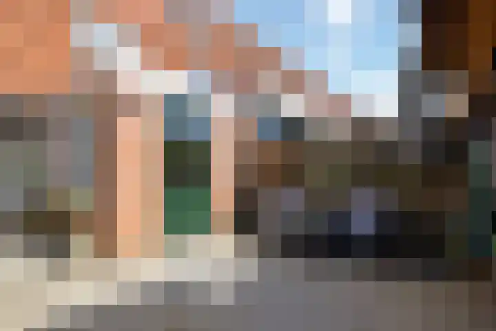 Lijster 41 Raalte thumbnail 23