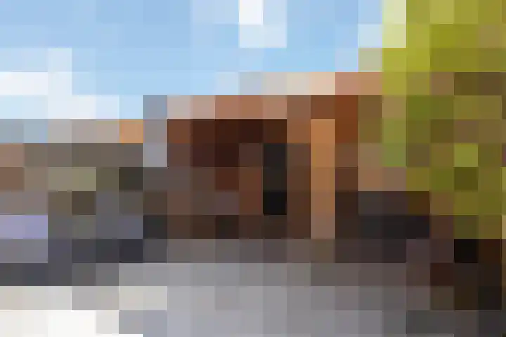 Lijster 41 Raalte thumbnail 24