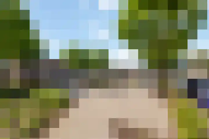 Lijster 41 Raalte thumbnail 27