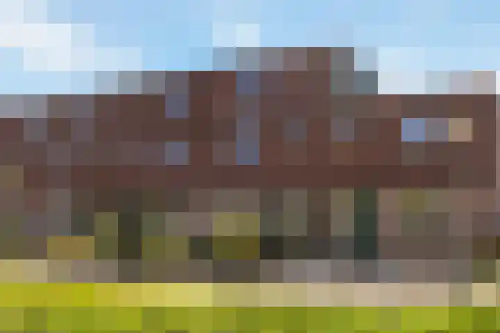 Lijster 41 Raalte foto 3