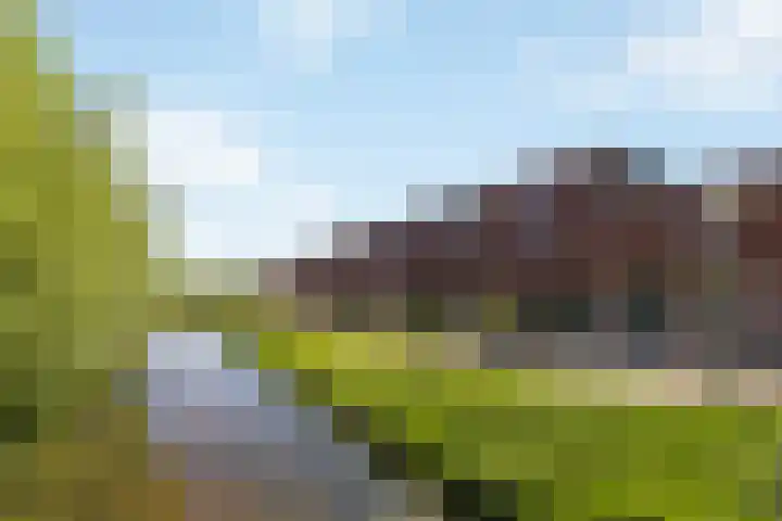Lijster 41 Raalte thumbnail 4