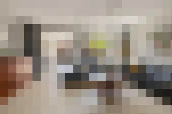 Lijster 41 Raalte thumbnail 5