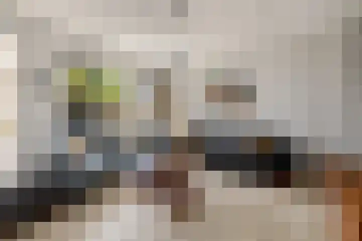 Lijster 41 Raalte thumbnail 6