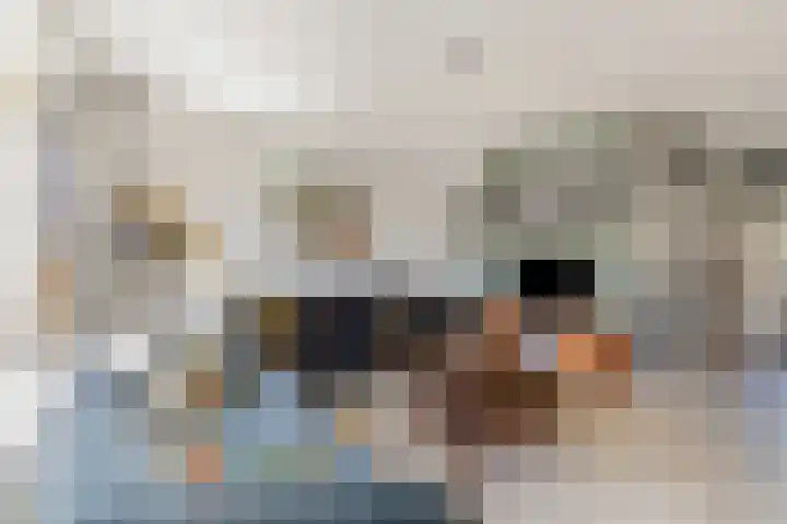 Lijster 41 Raalte thumbnail 7