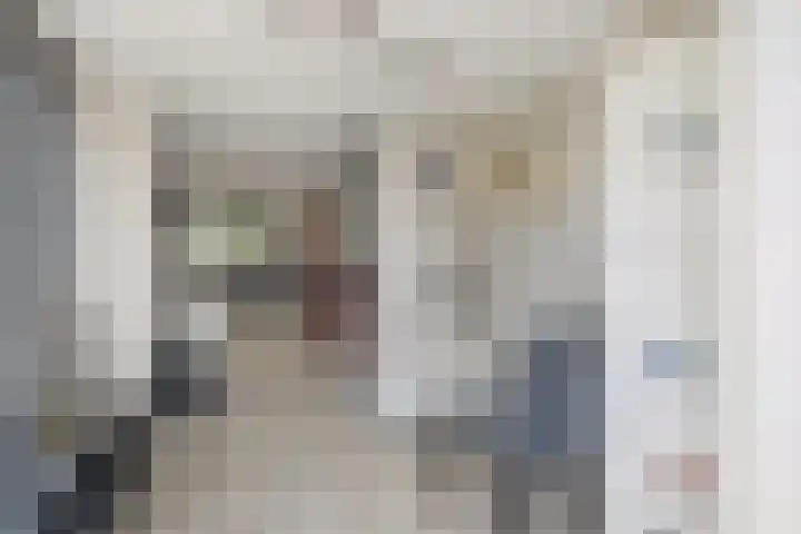 Lijster 41 Raalte thumbnail 9