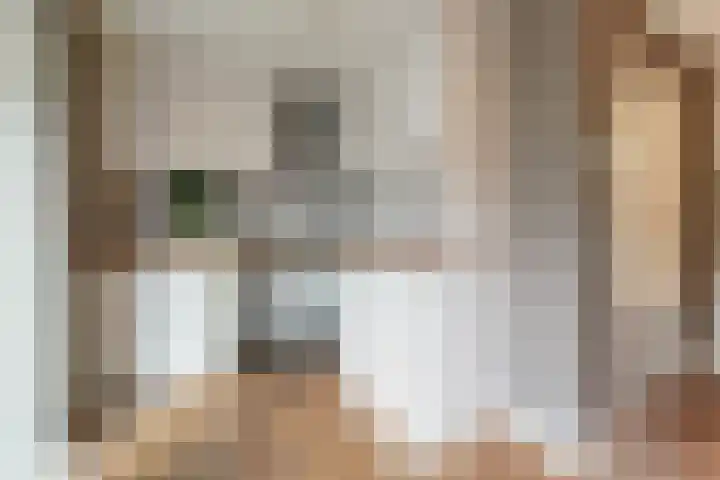 Lijster 42 Spanbroek thumbnail 18
