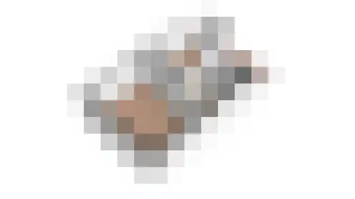 Lijster 42 Spanbroek thumbnail 30
