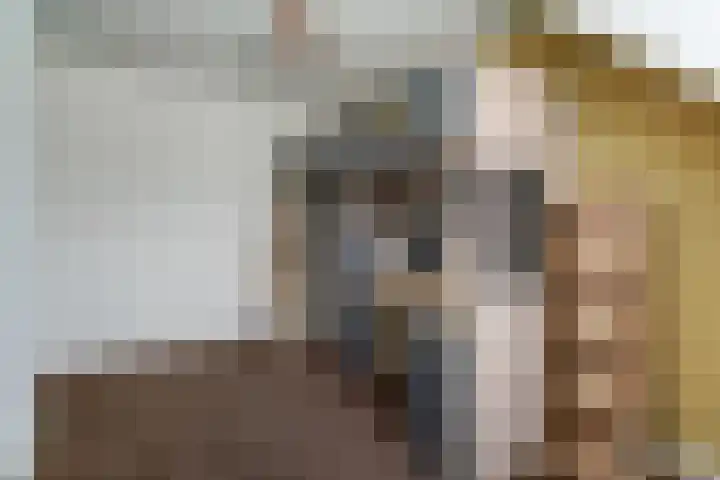 Lijster 42 Spanbroek thumbnail 37